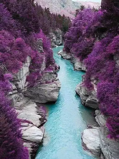 Play Jigsaw Puzzle Nature and enjoy Jigsaw Puzzle Nature with UptoPlay Play Jigsaw Puzzle Nature and enjoy Jigsaw Puzzle Nature with UptoPlay