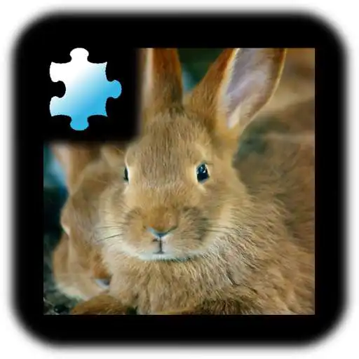 Play Jigsaw Puzzle: Rabbit APK Play Jigsaw Puzzle: Rabbit APK