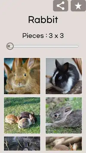 Play Jigsaw Puzzle: Rabbit  and enjoy Jigsaw Puzzle: Rabbit with UptoPlay