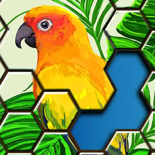 Play Jigsaw Puzzles Hexa APK