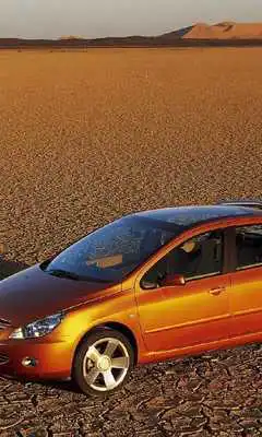 Play Jigsaw Puzzles Peugeot 307