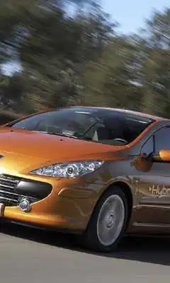 Play Jigsaw Puzzles Peugeot 307