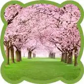 Free play online Jigsaw puzzle. Spring APK