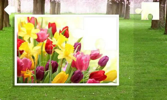 Play Jigsaw puzzle. Spring
