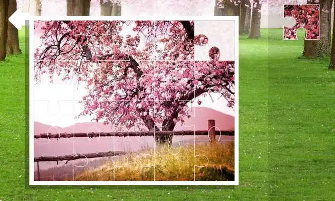Play Jigsaw puzzle. Spring