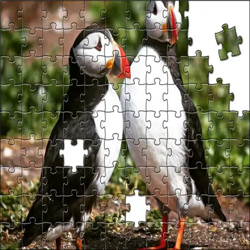 Play Jigsaw Puzzles world - Classic APK