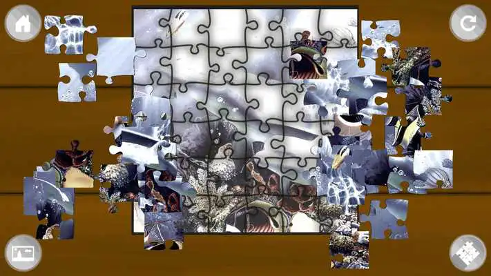Play Jigsaw Puzzle Wild Animals