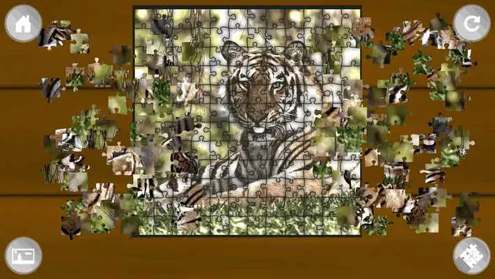 Play Jigsaw Puzzle Wild Animals