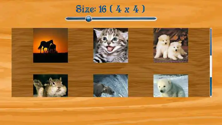 Play Jigsaw Puzzle Wild Animals