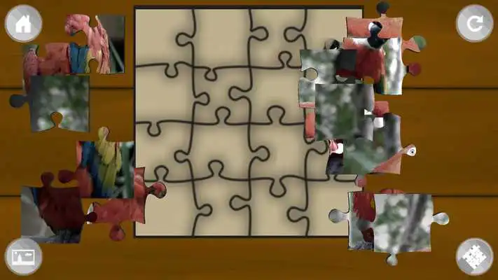 Play Jigsaw Puzzle Wild Animals