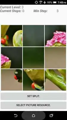 Play Jigsaws