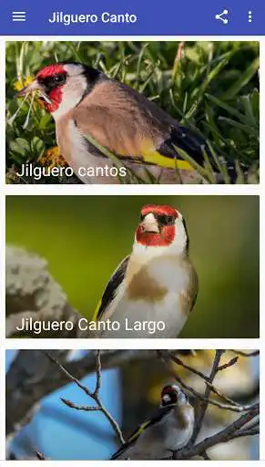 Play Jilguero Canto and enjoy Jilguero Canto with UptoPlay Play Jilguero Canto and enjoy Jilguero Canto with UptoPlay