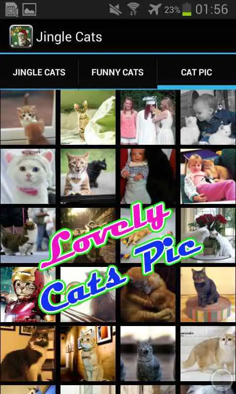 Play Jingle Cats