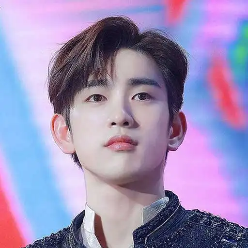 Play Jin Young Wallpapers Kpop HD APK