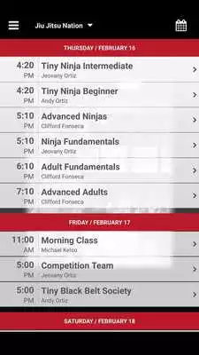 Play Jiu Jitsu Nation