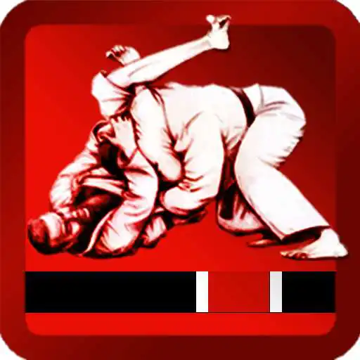 Play Jiu Jitsu Wallpapers HD & Motivation APK