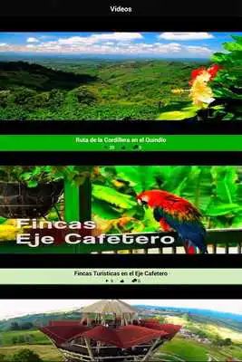 Play JJ Express Ltda