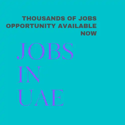 Play Jobs Search in UAE as an online game Jobs Search in UAE with UptoPlay