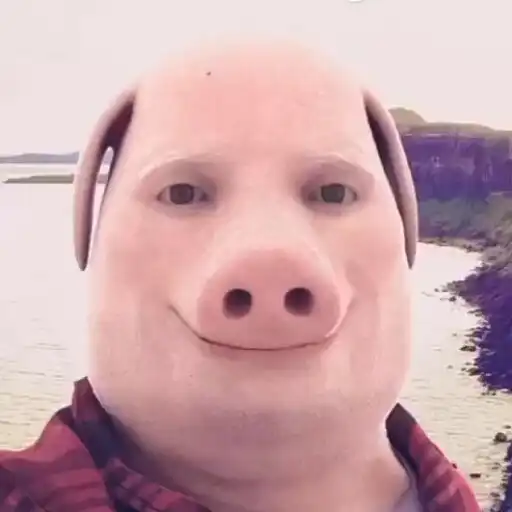 Play John Pork is calling APK
