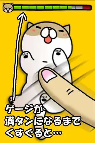 Play Joke cat as an online game Joke cat with UptoPlay