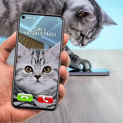 Play Joke Video Call to Cat APK