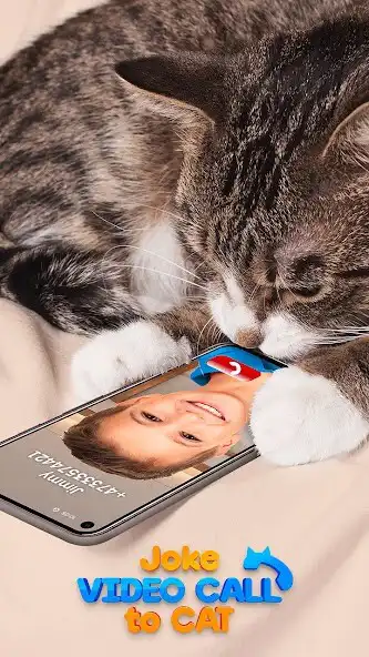 Play Joke Video Call to Cat  and enjoy Joke Video Call to Cat with UptoPlay