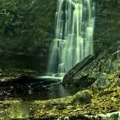 Free play online Jolly Escape Games-8 APK