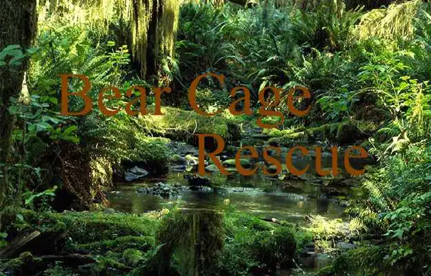 Play Jolly Escape Games-8