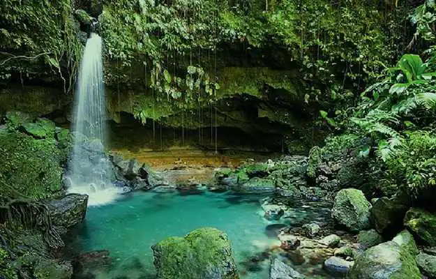 Play Jolly Escape Games-8