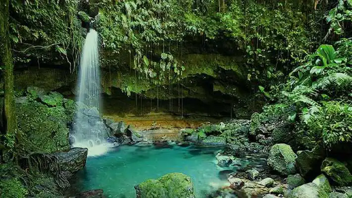 Play Jolly Escape Games-8