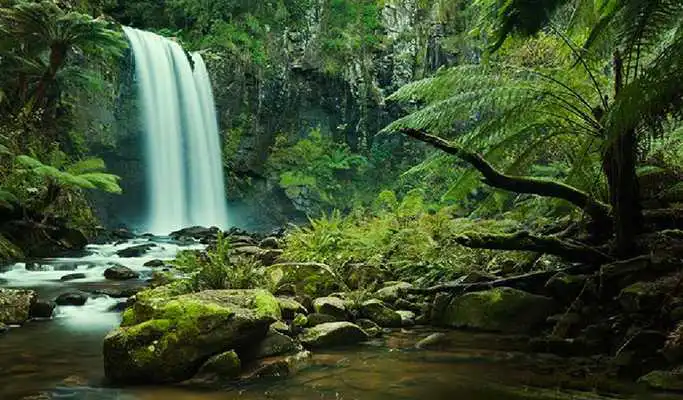 Play Jolly Escape Games-8