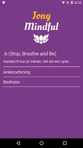 Play Jong Mindful as an online game Jong Mindful with UptoPlay