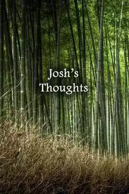 Play Joshs Thoughts