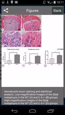 Play Journal of Histochem Cytochem