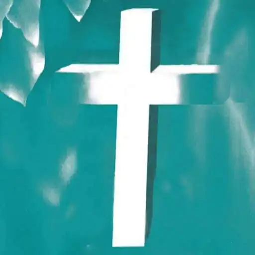 Play Joy of the Mission APK