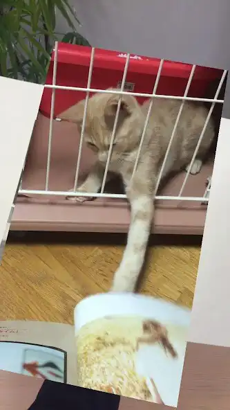 Play JOY SCOPE as an online game JOY SCOPE with UptoPlay