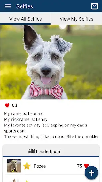 Play JP PetCare as an online game JP PetCare with UptoPlay