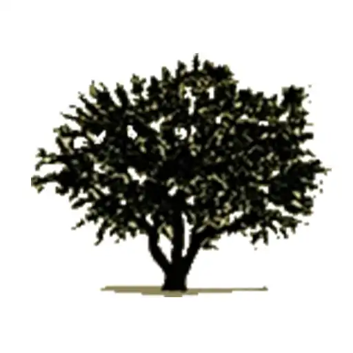 Play JSFG Jordan APK Play JSFG Jordan APK