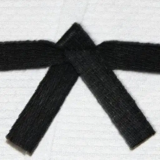 Free play online Judo APK