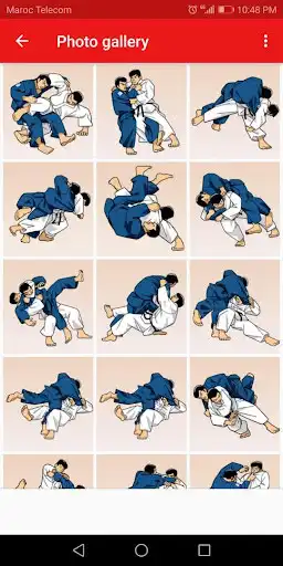 Play Judo techniques