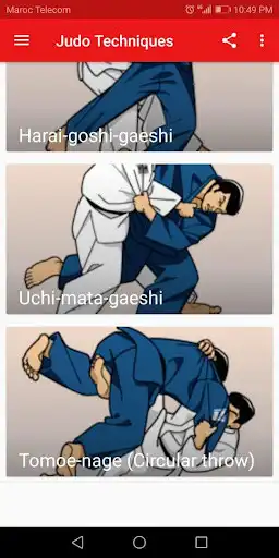Play Judo techniques
