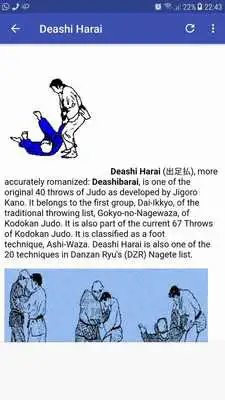 Play Judo techniques