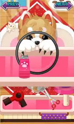 Play Judys Pet Care - Girls Game