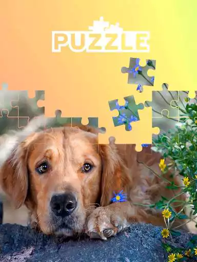Play Juegos de puzzle de perros Play Juegos de puzzle de perros
