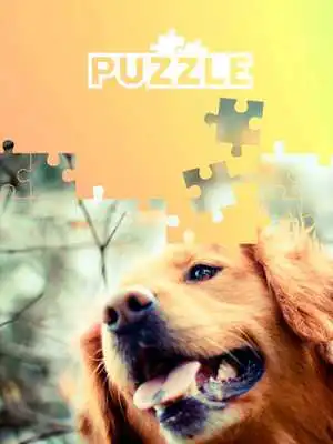 Play Juegos de puzzle de perros Play Juegos de puzzle de perros