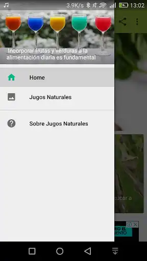 Play Jugos Naturales