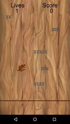 Play Jumparoo