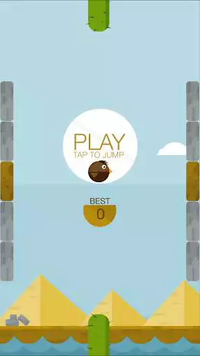 Play Jump Bird Jump Play Jump Bird Jump