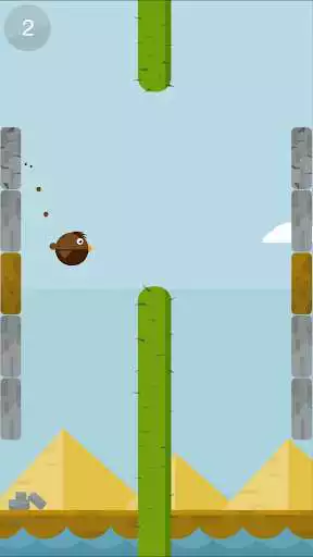 Play Jump Bird Jump Play Jump Bird Jump