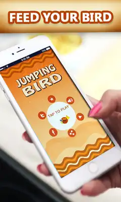 Play Jump Bird Jump Play Jump Bird Jump